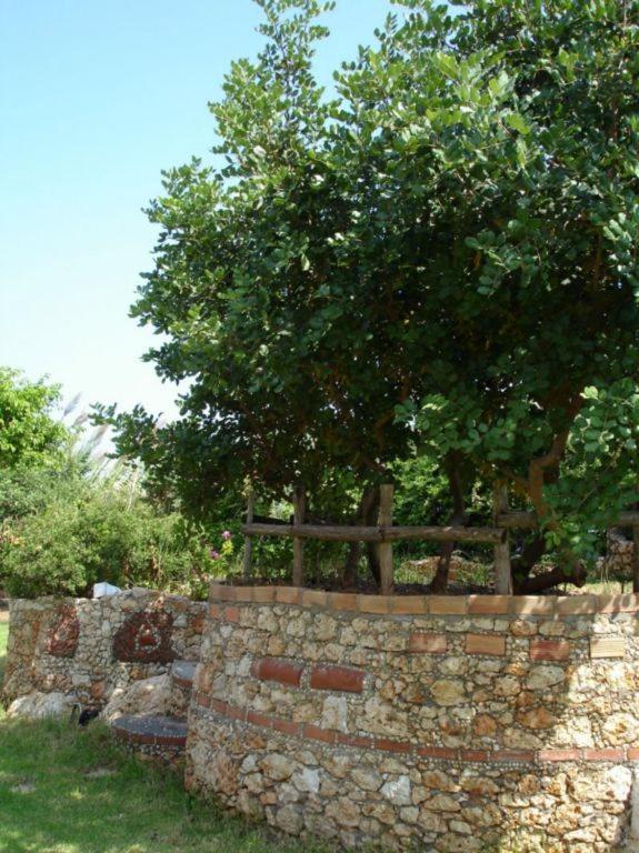 Iliostasi Beach Apartments Hersonissos  Bagian luar foto